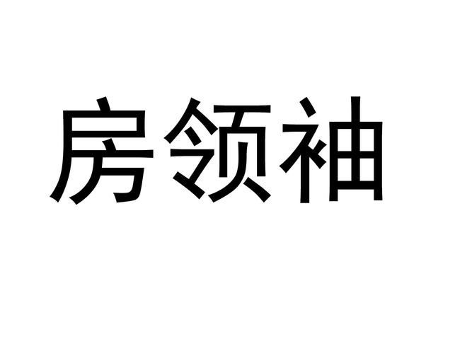 房领袖 专业铸就商品房销售代理的卓越之道
